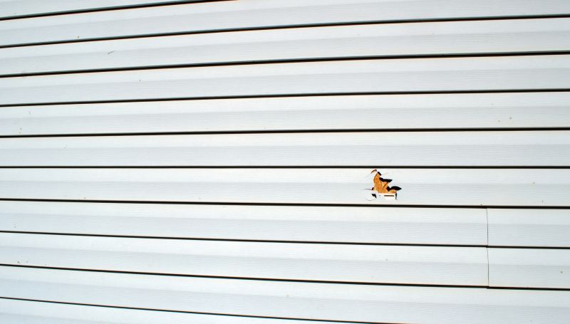 Removing Old Siding Panels